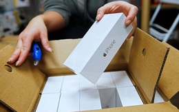 iPhone 6, 6 Plus rớt giá kỷ lục trong tuần đầu về Việt Nam