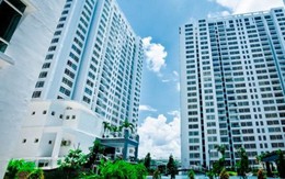 Lộ diện đại gia BĐS chi 1.050 tỷ mua dự án của Hoàng Anh Gia Lai