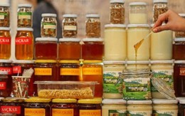 Hoảng hồn giá mật ong đắt nhất thế giới: 140 triệu đồng/kg