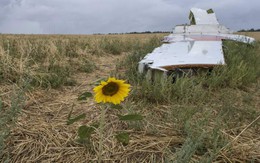 Báo Nga: Moscow có quyền đòi bồi thường trong vụ MH17