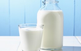 Sữa tươi thanh trùng: Chưa chắc đã tốt hơn sữa tiệt trùng