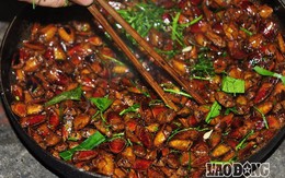 Món ăn "bất hủ" của người Việt từ loài côn trùng rất hôi hám