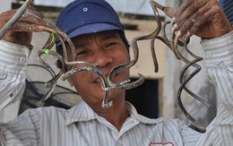 Chuyện tình của "dị nhân" có móng tay dài nhất Việt Nam
