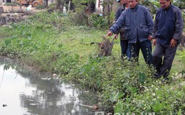 Xưởng chứa da trâu bò gây ô nhiễm, hàng trăm hộ dân kêu cứu