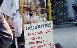 "Sung dược" chốn phòng the: "Ông uống bà khen, cả xóm thèm"