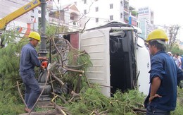 Ô tô tông bật gốc cây lớn, tài xế mắc kẹt trong cabin