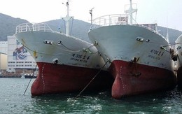 Đề xuất mua tàu của đại gia bị bác: Sẽ sang Indonesia đầu tư!