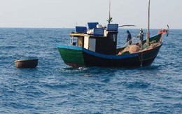 Tàu cá Lý Sơn bị đâm khiến một người chết, một người mất tích