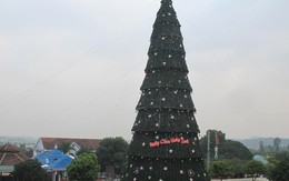 Ngắm cây thông Noel "siêu khủng" bằng tòa nhà 10 tầng ở xứ Nghệ