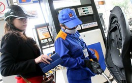 TS Ngô Trí Long: Giá xăng giảm, đừng vội mừng