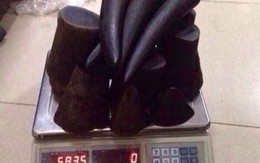 Cùng đại gia vác tiền tỷ đi mua "thần dược"