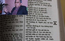 Sốc với từ điển giải thích "nữ phi công" là "phi công đàn bà"