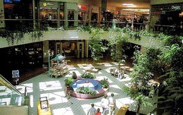 Đại gia Trầm Bê bỏ túi trăm triệu USD nhờ bán tài sản “khủng” ở Mỹ