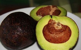 Ăn bơ - Sức khỏe như mơ