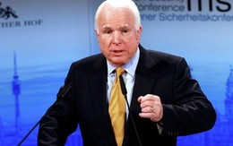 Ông McCain: Lệnh ngừng bắn tại Ukraine sẽ sụp đổ sau vài ngày
