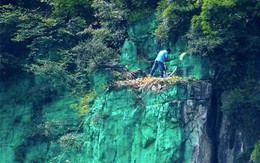 Đại gia cho sơn toàn bộ vách núi 2000 m2 … cho hợp phong thủy