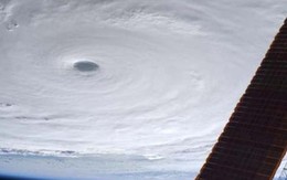 Mỹ cảnh báo siêu bão mạnh nhất 2015 gây "sóng tử thần"