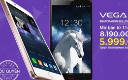 Tại sao 11 giờ trưa nay là thời điểm tốt nhất để mua smartphone cao cấp Vega Iron 2?