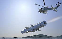 MBDA đề xuất cung cấp cho Malaysia tên lửa hành trình Sea Venom