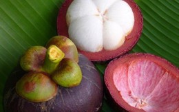 Lợi ích khó tin cho sức khỏe từ quả măng cụt