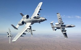 Máy bay A-10 - Nhà vô địch trong các vụ "giết nhầm" lính Mỹ