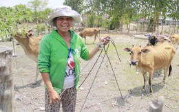 Bi hài chuyện... "bắt chồng"