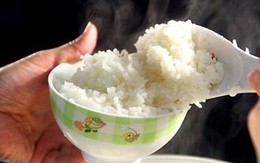 Gạo nhựa Trung Quốc đã có mặt tại Việt Nam hay chưa?