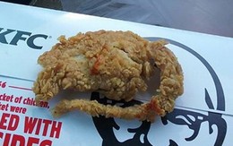 KFC ở Mỹ bị tố chiên chuột nguyên con bán cho khách