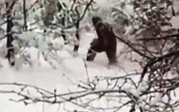 “Người tuyết” bí ẩn bất ngờ xuất hiện ở Nga