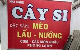 Lạ lùng tục ăn thịt mèo đầu năm