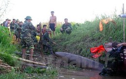 Phát hiện quả bom nặng trên 400kg ở cửa biển khi đang đánh cá