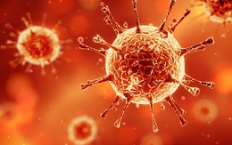 Điểm mặt những loại virus đáng sợ nhất cho con người mà ít ai biết đến