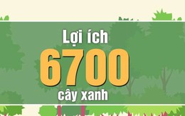 INFOGRAPHIC: 6700 cây xanh HN có lợi như thế nào?