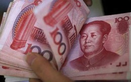 TQ: Nữ nông dân mạo danh công chúa để lừa 8 tỷ đồng