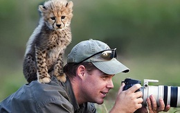 20 khoảnh khắc ngộ nghĩnh của các nhiếp ảnh gia và động vật hoang dã