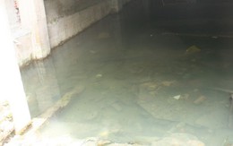 Khó tin Hà Nội: Ao cá trong tầng hầm chung cư