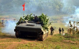 Việt Nam tái biên chế xe thiết giáp lội nước Type 63?