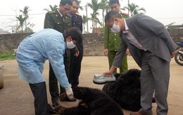 Chuyển gấu nuôi tại Quảng Ninh về trung tâm cứu hộ
