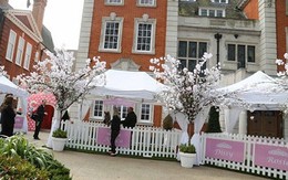 Nữ đại gia chi 2,2 tỷ làm tiệc thôi nôi cho con gái