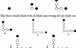 Nhíu mày với những câu hỏi thử thách IQ ở mức trung bình