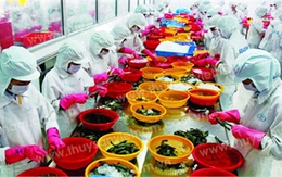 Đại gia dính đòn, vỡ mộng tỷ USD