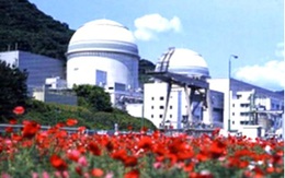 Nhật sắp tái khởi động thêm hai tổ máy điện hạt nhân