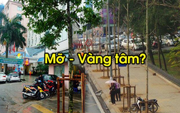 Trồng mỡ và vàng tâm: Họ đã nói gì?