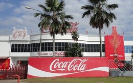 Coca Cola Việt Nam đã bắt đầu "biết lãi"