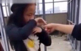 Video nữ sinh bị đánh đập suốt 3 giờ gây chấn động Trung Quốc