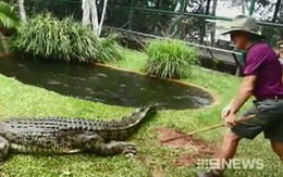 Hãi hùng người đàn ông bị cắn đứt ngón tay khi cho cá sấu ăn