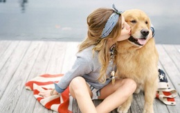 Bài viết đáng suy ngẫm về "Những đứa trẻ không hề sợ chó"