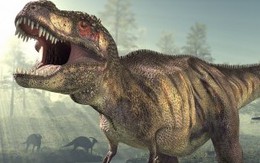 Chuyện gì sẽ xảy ra nếu loài khủng long không bị tuyệt chủng?