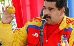 Ném xoài vào đầu tổng thống Venezuela, được cấp nhà mới