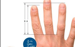 Đoán sức khỏe, tiền tài qua độ dài ngón tay áp út